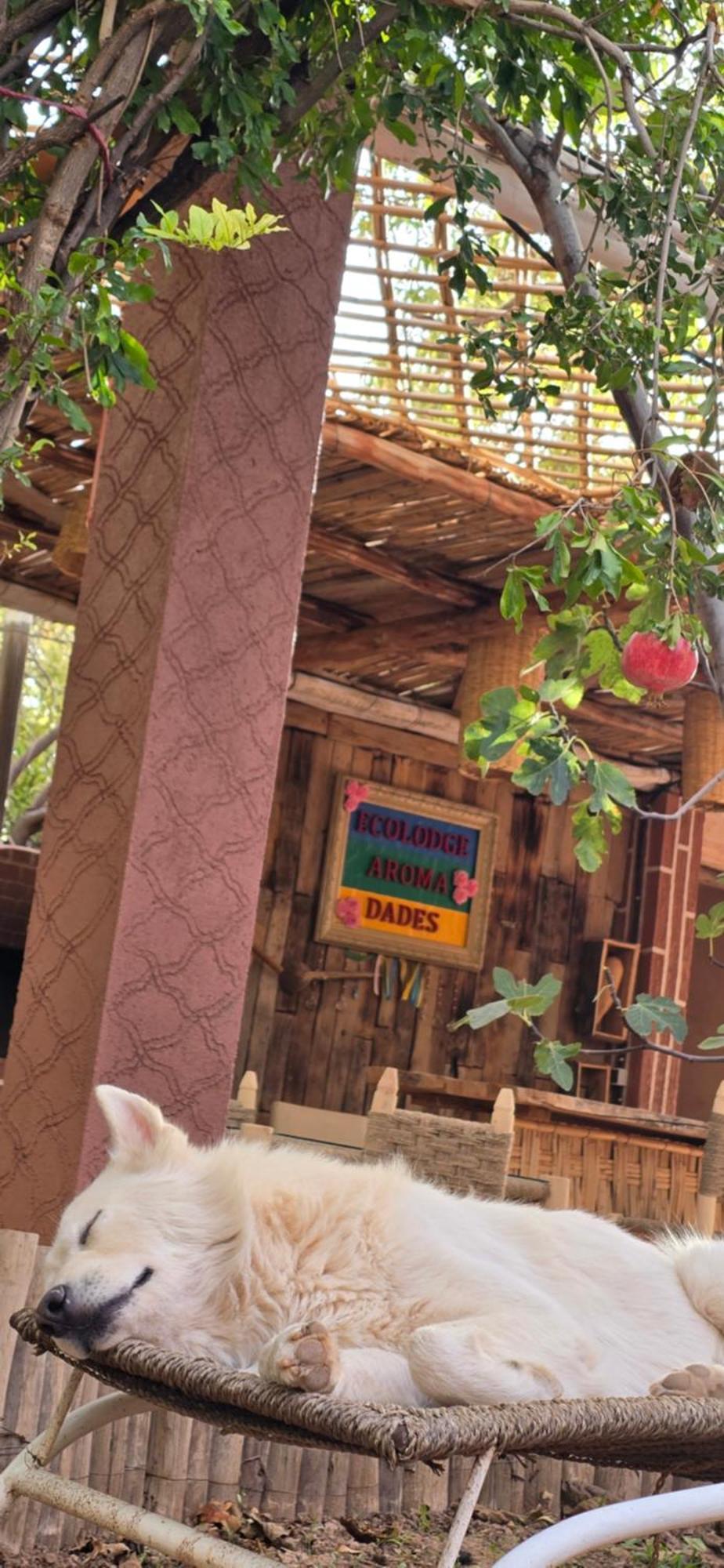 Ecolodge Aroma Dades El Hart Exterior photo